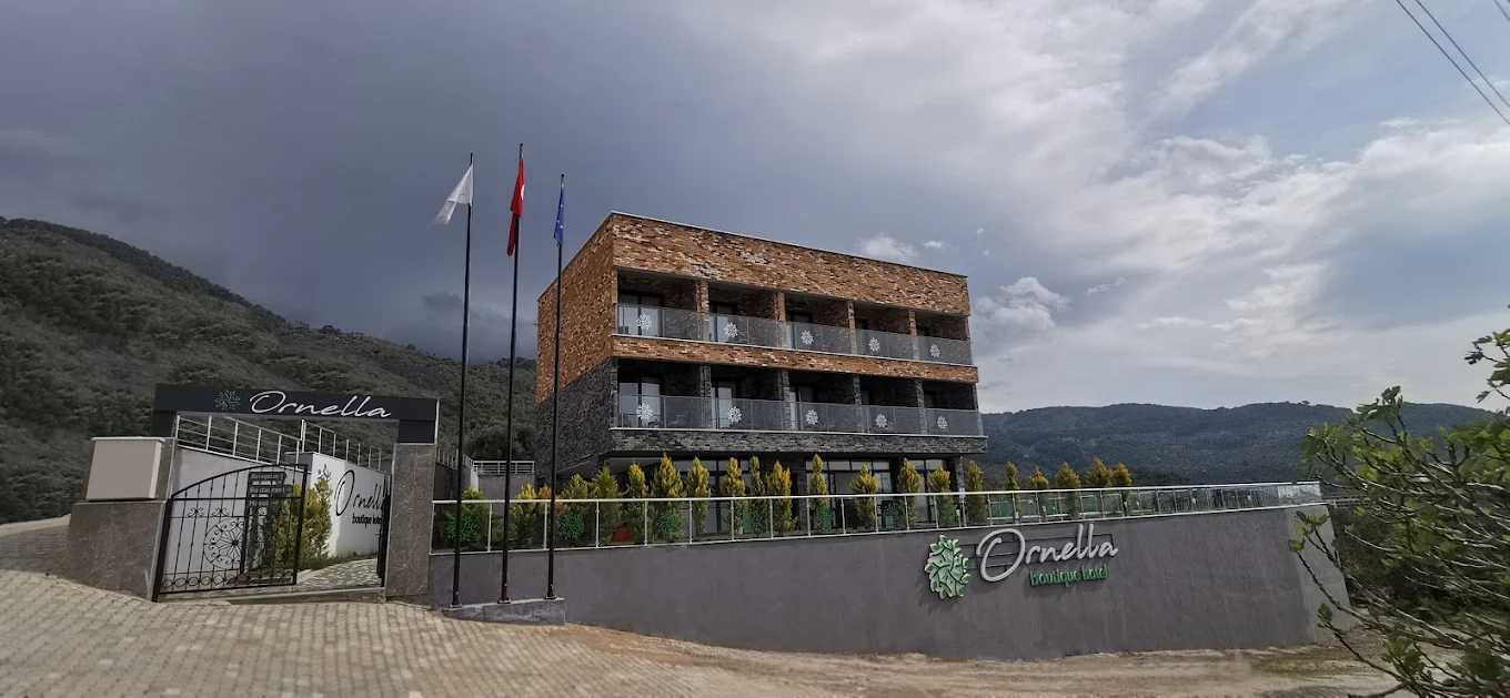 ornella-giriş